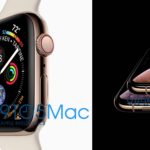 Появились первые изображения iPhone XS и Apple Watch Series 4