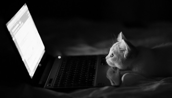 Как смотреть Перископ через компьютер