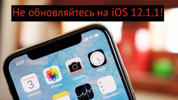 ios 12.1.1 bag with mobile data