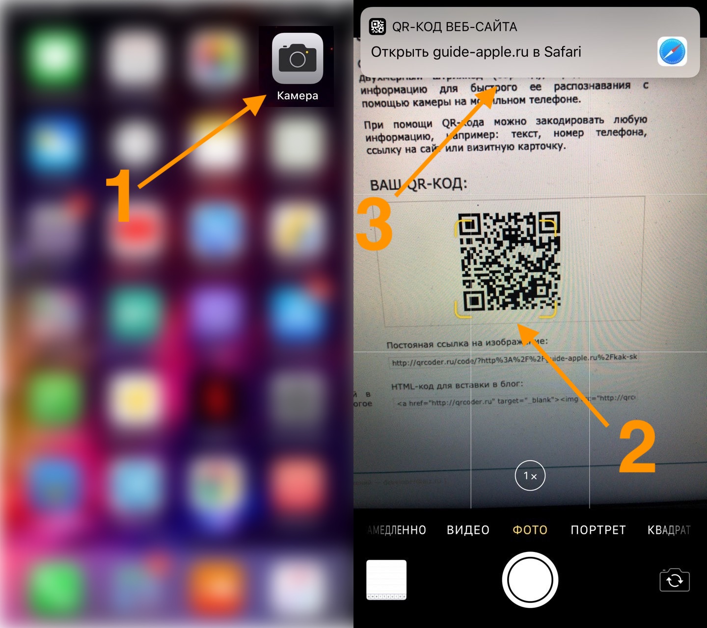 Куар сканер через камеру. Айфон 11 сканер QR. QR код на айфоне. Сканирование QR кода iphone. Айфон сканирует QR код.