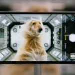Музыка из рекламы iPhone 11 Pro МТС с собакой