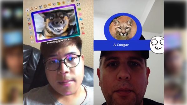 Animal Filter on Instagram