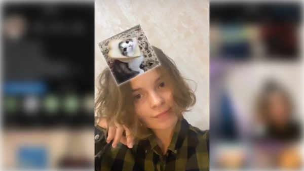 Cat Filter on Instagram